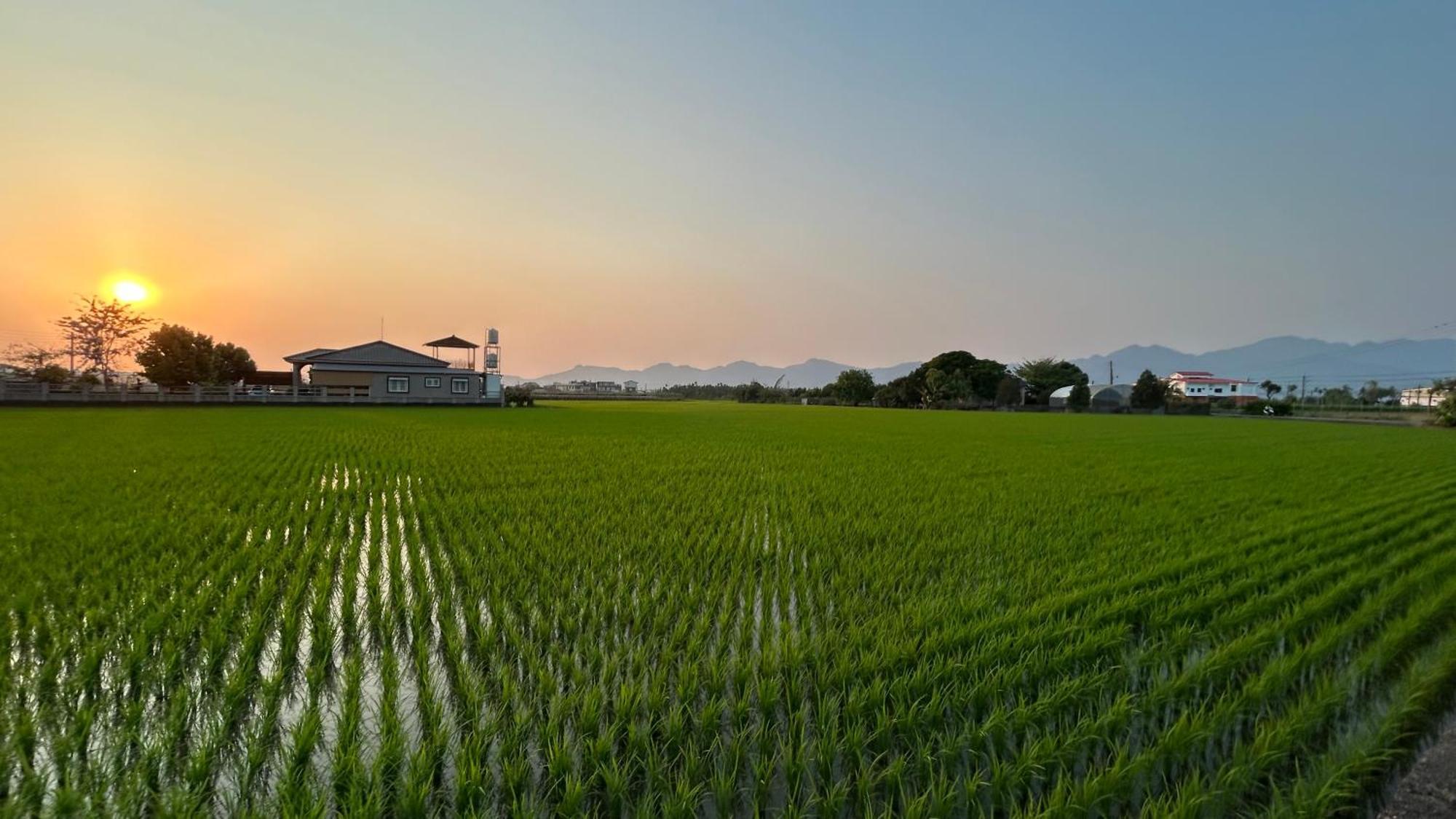 Mei Nong Villa Mei-nung ภายนอก รูปภาพ
